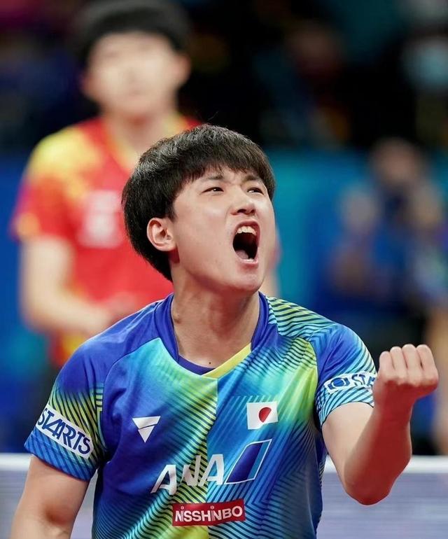 法国乒乓球队强势中国乒乓球队，张本智和制霸全场的简单介绍