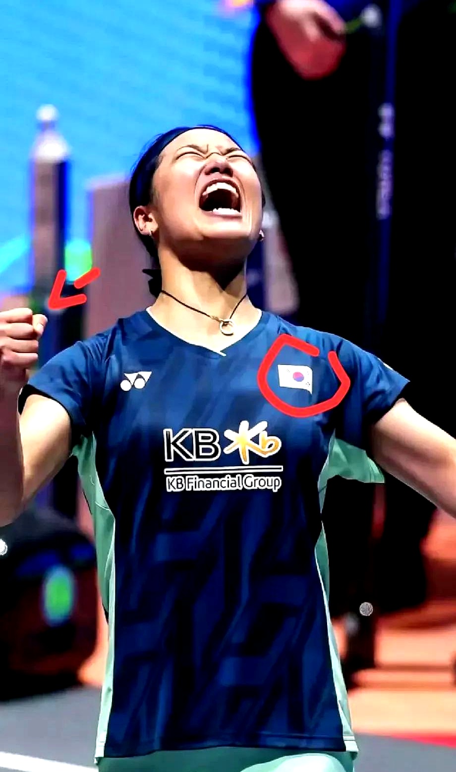 韩国羽毛球队逆转中国羽毛球队，陶菲克打破历史纪录的简单介绍