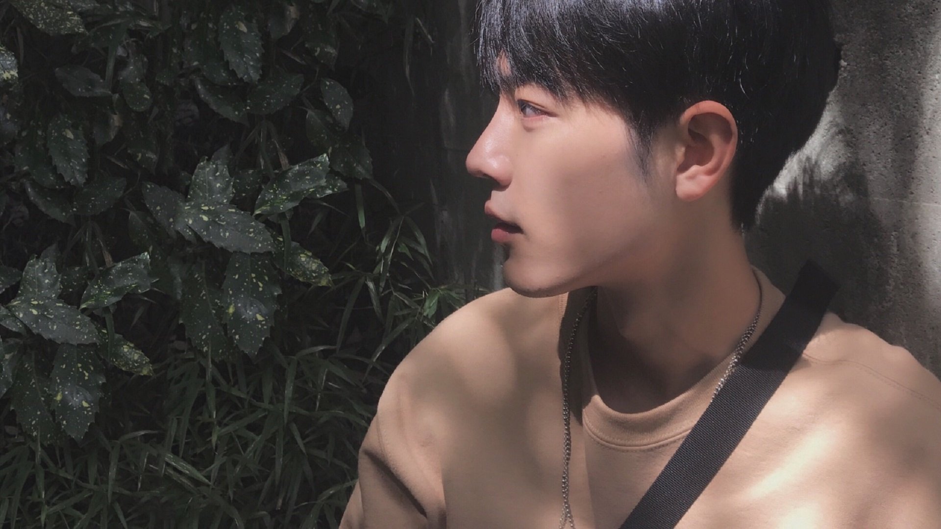 王朝更迭，红牛二队如何将昔日霸主雷诺碾作尘埃，而阿隆索又为何能老骥伏枥惊艳四座？