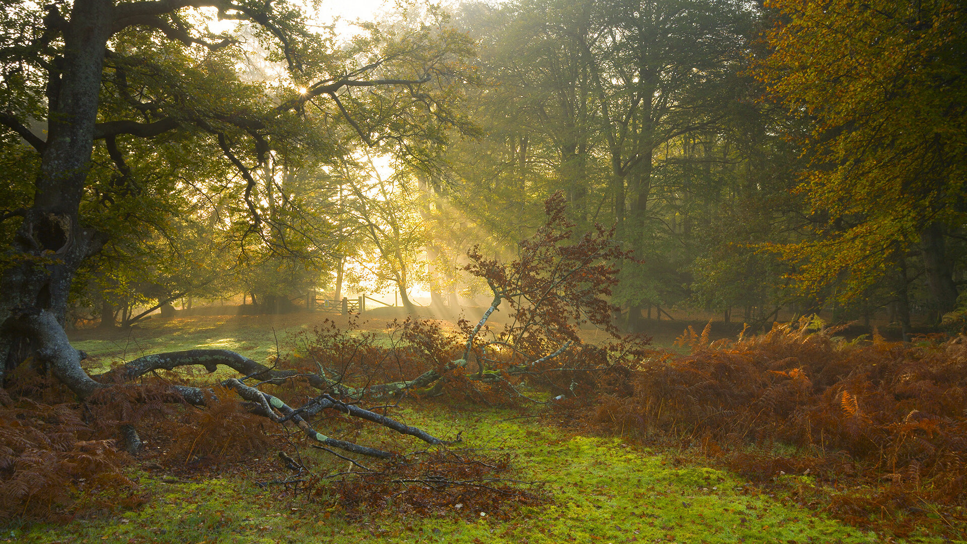 冷灶烧出烈焰，联合杯完胜美网，蒂姆在边缘战场找回王者心跳