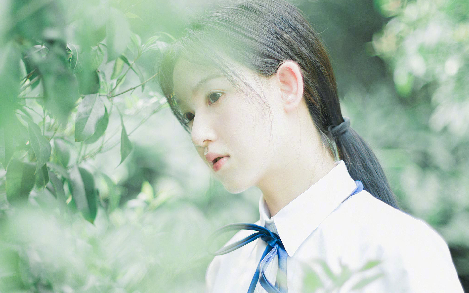 红土与团队之间，兹维列夫给出了网球的唯一答案