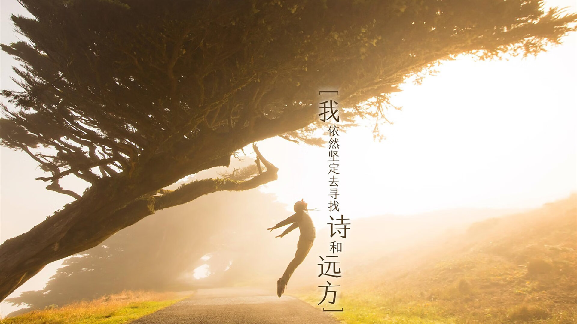 险胜与完胜，竞技体育的两种美学