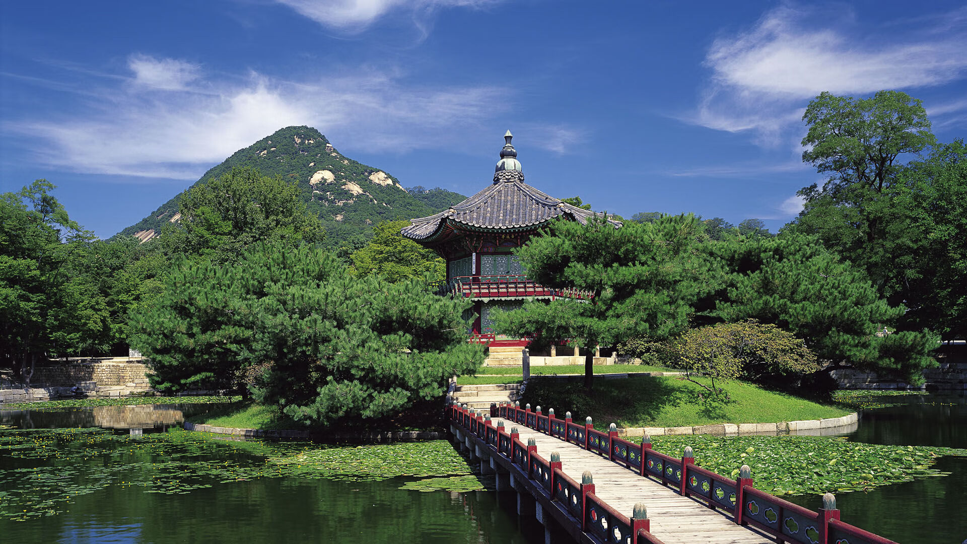 跨界球台，王皓一杆定乾坤，葡萄牙乒乓队5-0横扫奥地利