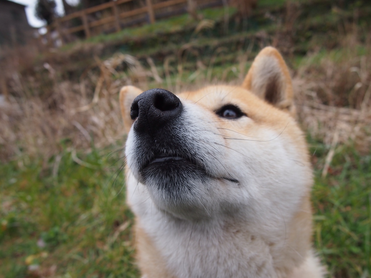 1.主标题，切特35分引爆客场，广厦力克新疆锁定四强