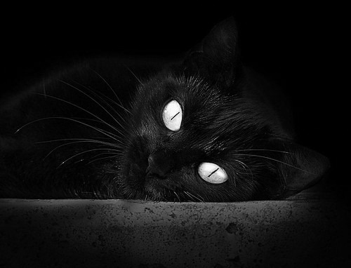 莱万书写绿茵教科书，一夜间，他以完美表演让争冠悬念归于沉寂