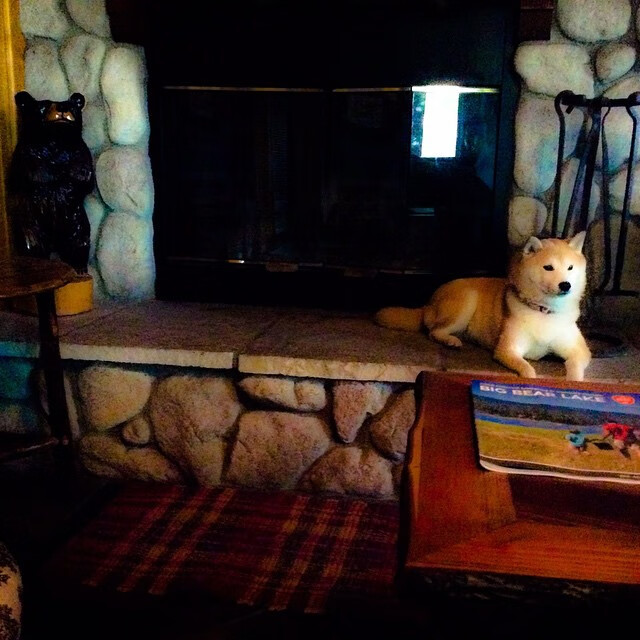 裁判未响的哨声，当布克在热焰与紫金间写下终章