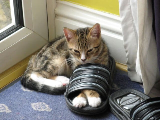 曼城弃子点燃红龙之魂,阿尔瓦雷斯爆发导演威尔士百年逆转