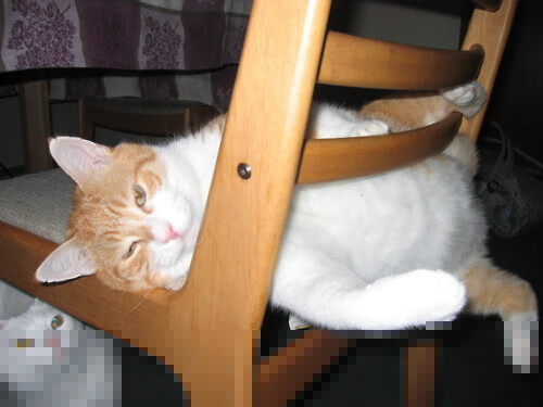 非奥之奥,哈兰德之夜与个人能力的完全呈现