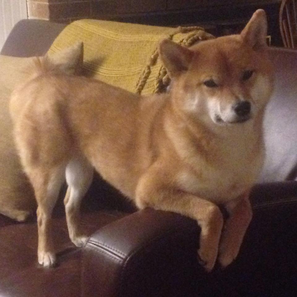 凯尔特公园的史诗之夜，哈兰德加时绝杀，一役封神莱比锡