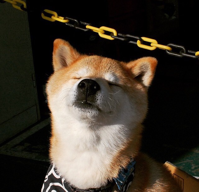 从斯台普斯到世界杯,当浓眉的统治力跨越两种赛场