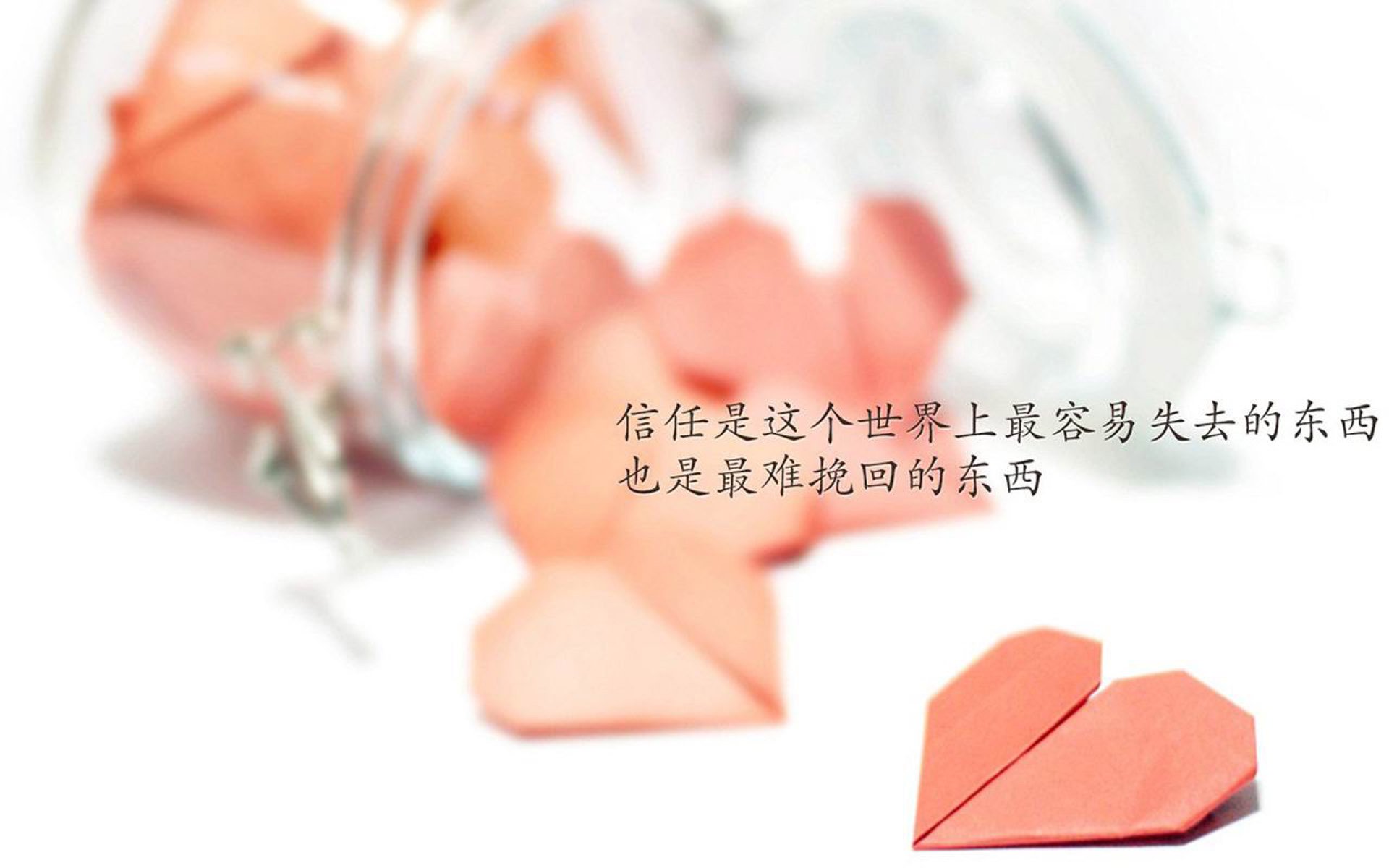 奇迹之夜,当印度足球在2026世界杯G组完成史诗绝杀,罗德里戈点亮北欧黑夜